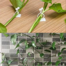 센터페시아클립