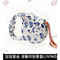 아기하네스미아방지