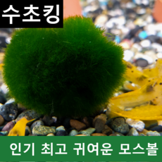 5d3b6e0c41a1bef8aaf33d510f6fd430fd339d6f5ff6fc4dbdddf2a15681.png