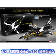 블랙이글스뱃지