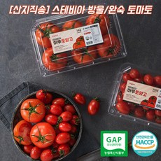 망고맛토마토