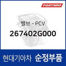 밸브-PCV (267402G000) 현대모비스 부품몰 그랜저TG 그랜저HG 그랜저IG 벨로스터 벨로스터N