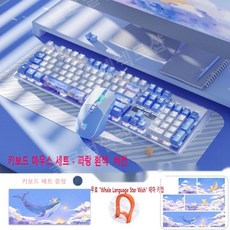 타이핑고래 TOP01