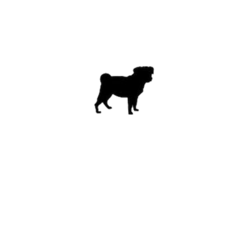 169d1ecc3a8d53be454b1a80e1017b7ea4b3be2e71b32291ac207aef02f7.png