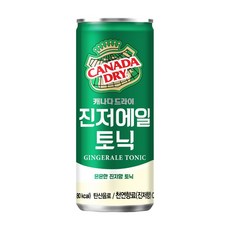 캐나다드라이 진저에일 250ml, 15개 - 리치앤위스키