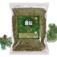 송솔나무