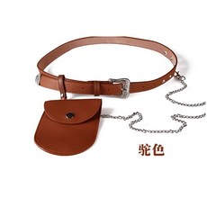 디올새들벨트백