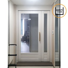 비대칭양개도어