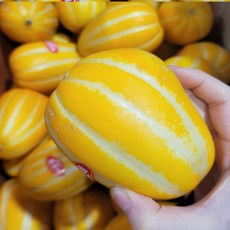 달달과수원 고당도 꿀 참외 특품 로얄사이즈, 1박스, 가정용5kg(랜덤과) 반품불가