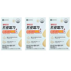 종근당건강 프로메가 알티지 오메가3 듀얼 비타민D, 31.2g, 3박스, 520mg, 60정