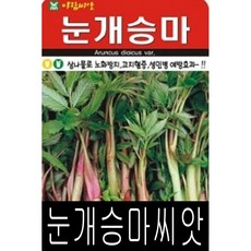 [워터트리몰] 채소 종자 재배 씨앗 눈개승마씨앗(500립/소포장)(A)