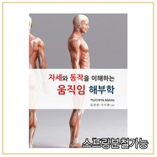 움직임해부학