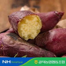 산청밤고구마