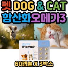 펫 애견 DOG CAT 혈행 눈 뼈 종합영양제 알티지오메가3 반려동물 흡수율좋은 강아지 고양이 항산화 오메가3 영양제 - 강아지영양제하루올데이