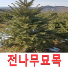 c347cd98daae0b049a02ecbd64226d8eceeeb62500f2d3afd7915ad5da14.png