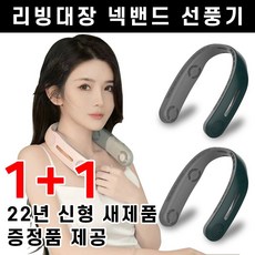 프롬비3세대