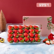 프루미츠 산청군 농협 고당도 설향딸기선물세트 800g (24-30과), 1개