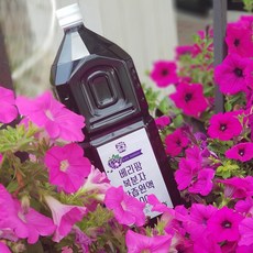 [궁온비책] 베리팜 고창 복분자 원액 100% 엑기스 2L 착즙, 복분자원액 2L(상자없음)