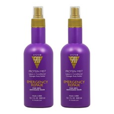 Hayashi System 911 Protein Mist 하야시 프로틴 미스트 300ml 2팩