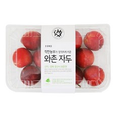 초록마을자두