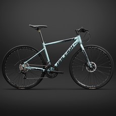 자이언트패스트로드sl