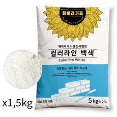 해바라기표 시멘트 컬러라인 파벽돌용 보수용 색상샘플용 5kg 백색, 1개