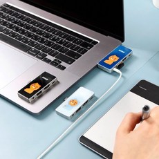 카카오프렌즈 4in1 멀티 허브USB PD 100W, 후드라이언