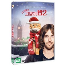 내어깨위고양이밥