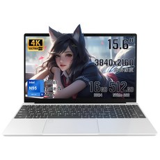 PC 4K 15.6 N95 pc Windows 1116 GB DDR4 NVMe SSD 16GB + 512GB NVMe SSD) 노트 액정(3840x2160)