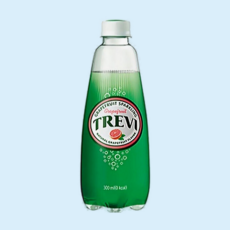 트레비 롯데칠성음료 자몽, 300ml, 5개