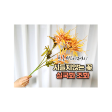 02e8c2e1ed20176ebe67813e6bb18abc3ac9c8d532722a6994caa0434b92.png