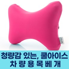 여권전대케이스