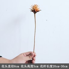 1f39bd208daaf20d7c07190504957821ef438209044ba4a5eb7c7965e96e.jpg