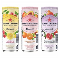 Sanpellegrino Momenti 산펠레그리노 모멘티 버라이어티 팩 330ml 12캔, 1개