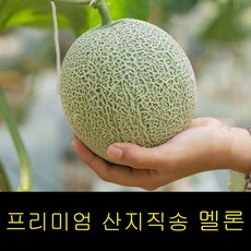 고령멜론