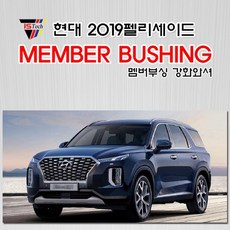 팰리세이드보강