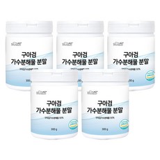 시그니온 구아검 가수분해물 분말 해썹 인증 수국잎 필수아미노산 함유 20g스푼증정, 300g, 5통
