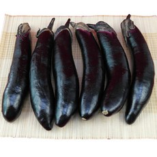 청정영주소백산가지