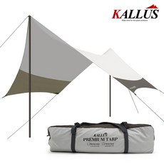 힐레베르그타프폴대