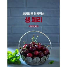 이거사 칠레산 생체리 싱싱한 체리, 1박스, 10.5R(중)2KG