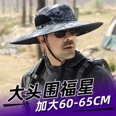 페도라s1