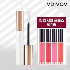 비디보브샤인글로스