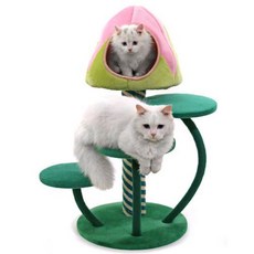 에덴동산파우더워시