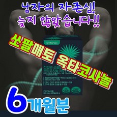 브이텐포맨