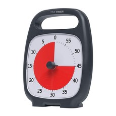 TIMETIMER PLUS 구글타이머 차콜그레이 60분(22X18cm)