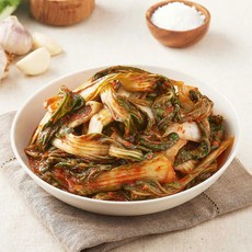 참맛나 [참맛나김치] 30년 전통 전라도 별미 파김치 1kg 외 국내산 김치 당일생산, 겉절이 1kg, 1개