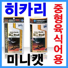 e42de9e66e5e08677576d8afd41a2f8b9b146b9bf5d38e96803a07add4e7.jpg