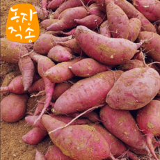 농장직송 해남 꿀 밤고구마 진율미 3kg 5kg 10kg 달콤하고 퍽퍽한 햇고구마, 1박스, 밤고구마 3kg(한입크기)