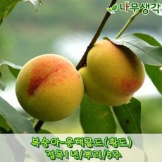 3e8a8257aba51a4ab6c6369c2b2262407e9e315fd7d37cf62e672a744a48.JPG
