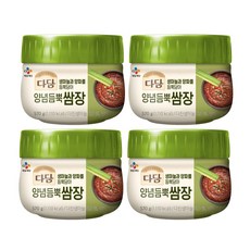 CJ 다담 양념듬뿍쌈장 570g